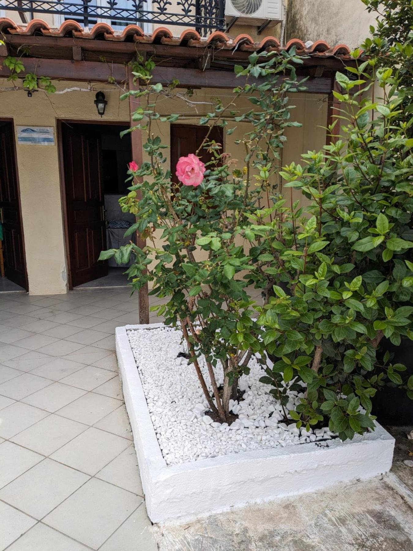Kamelia Apartment Kokkari Exterior foto