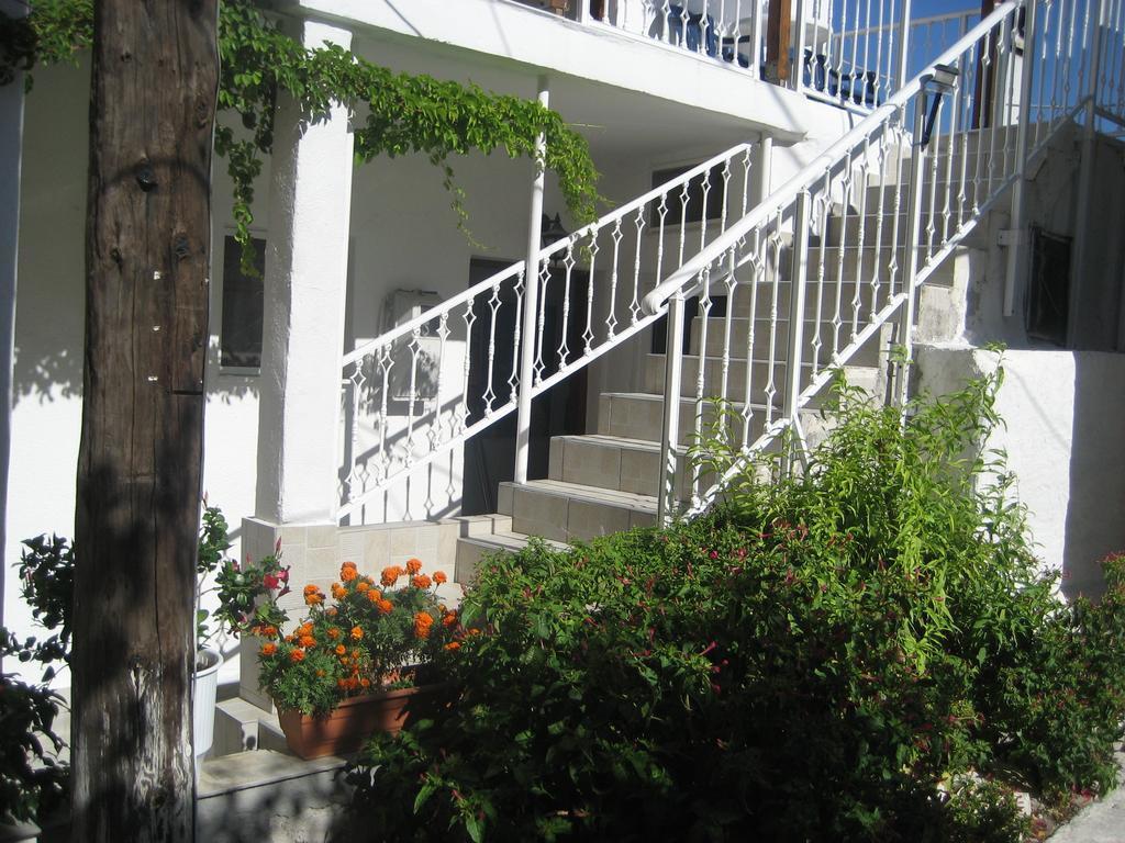 Kamelia Apartment Kokkari Exterior foto